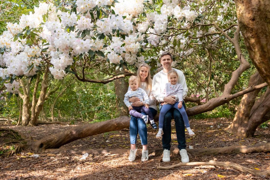 Family of four sitting on a tree, enjoying a sunny day at Bushy park, whilst posing for a mini photo session